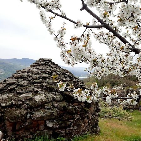Apartamento Rural Amaluna El Torno  Exteriér fotografie
