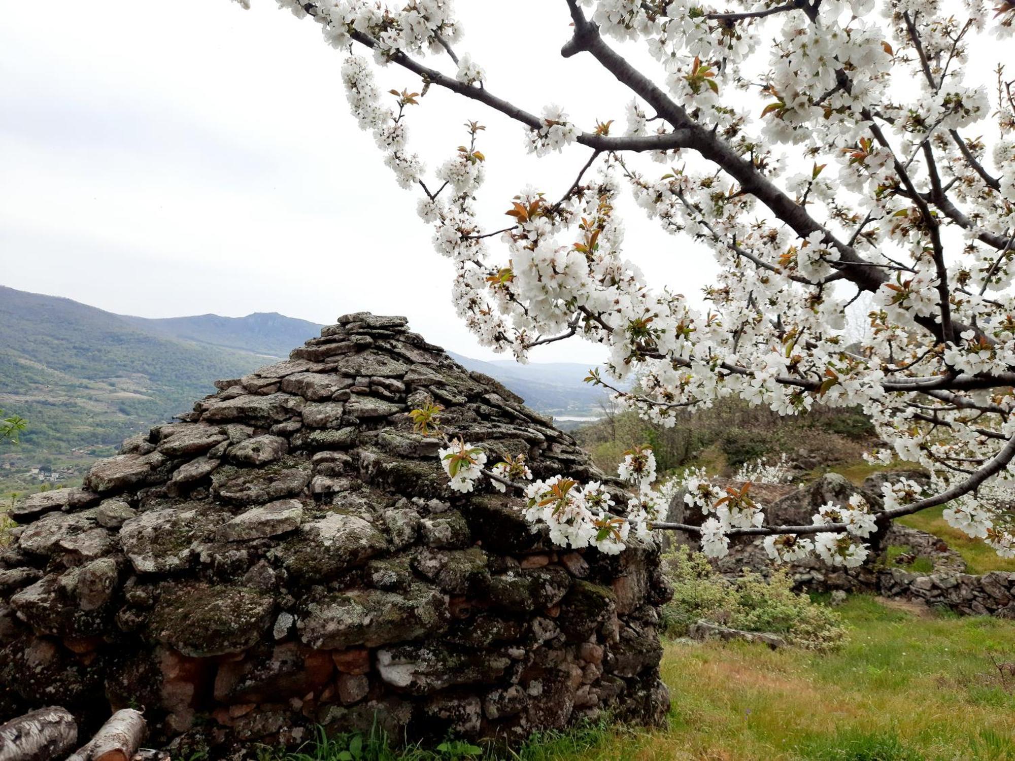 Apartamento Rural Amaluna El Torno  Exteriér fotografie